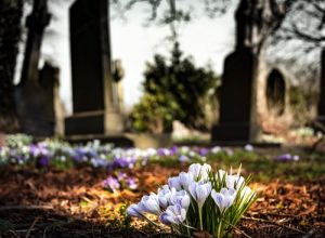Tombe e fiori in primo piano