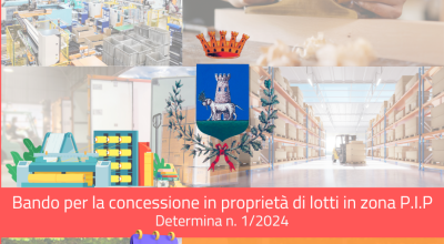 Bando di concessione in proprietà lotti zona P.I.P
