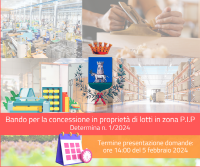 Bando di concessione in proprietà lotti zona P.I.P