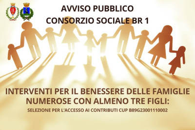 Avviso pubblico - Interventi per il benessere delle famiglie numerose con alm...