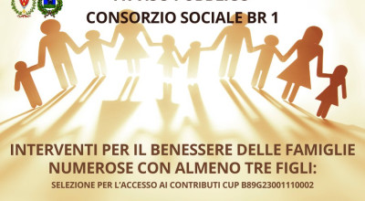 Avviso pubblico - Interventi per il benessere delle famiglie numerose con alm...