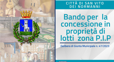 Bando di concessione in proprietà lotti zona P.I.P