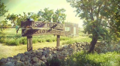 La Zona Archeologica