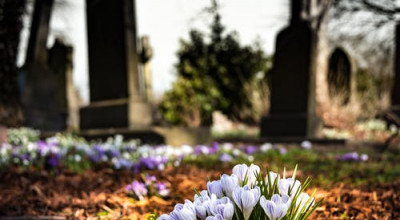 Tombe e fiori in primo piano